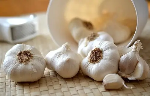 garlic example